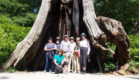 Reisegruppe unter altem Baumstumpf