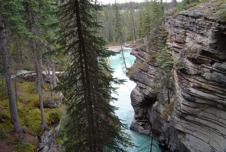 Athabasca Falls im Jasper Nationalpark