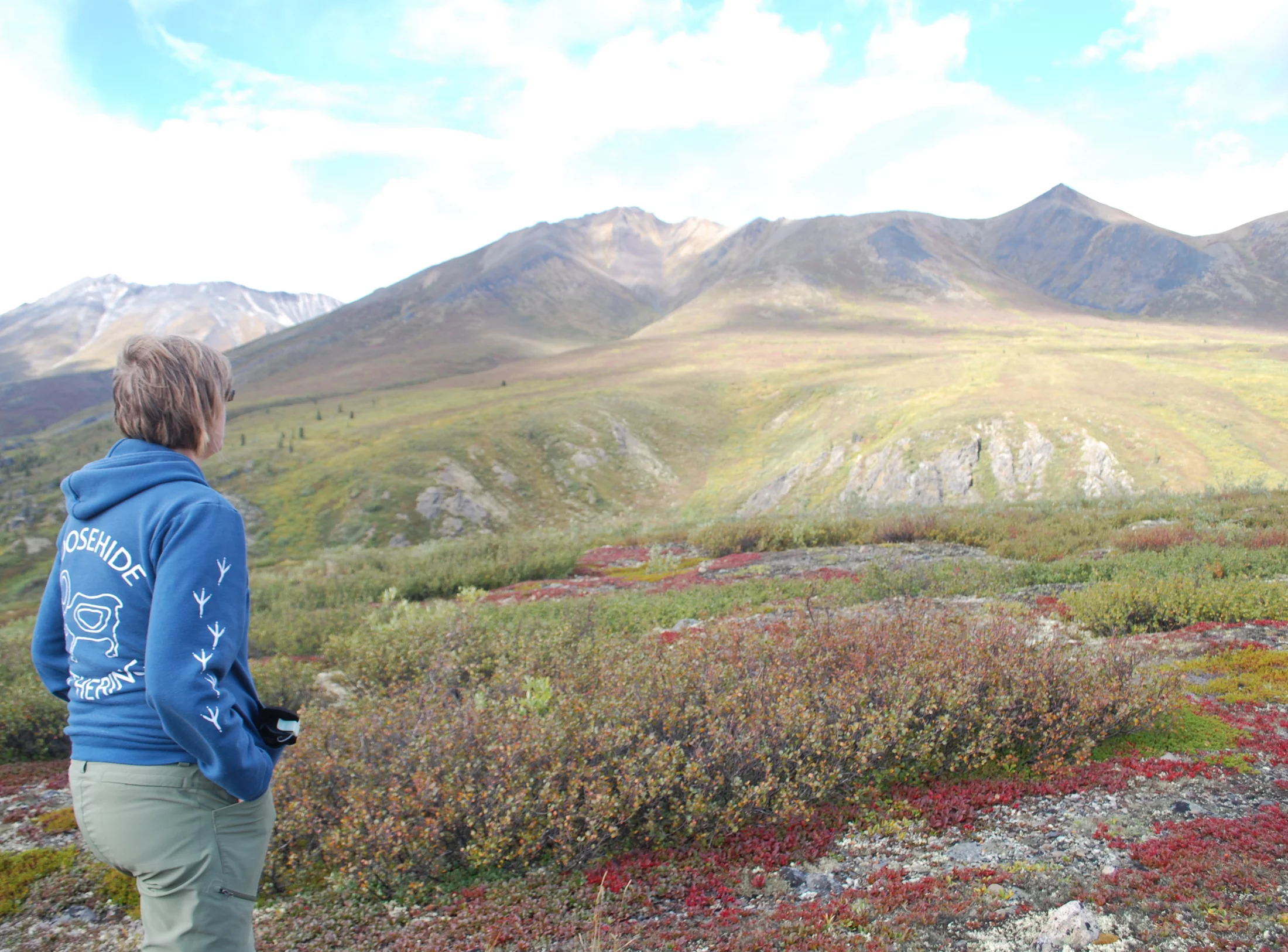 Arctic Ocean Dream - Aussicht