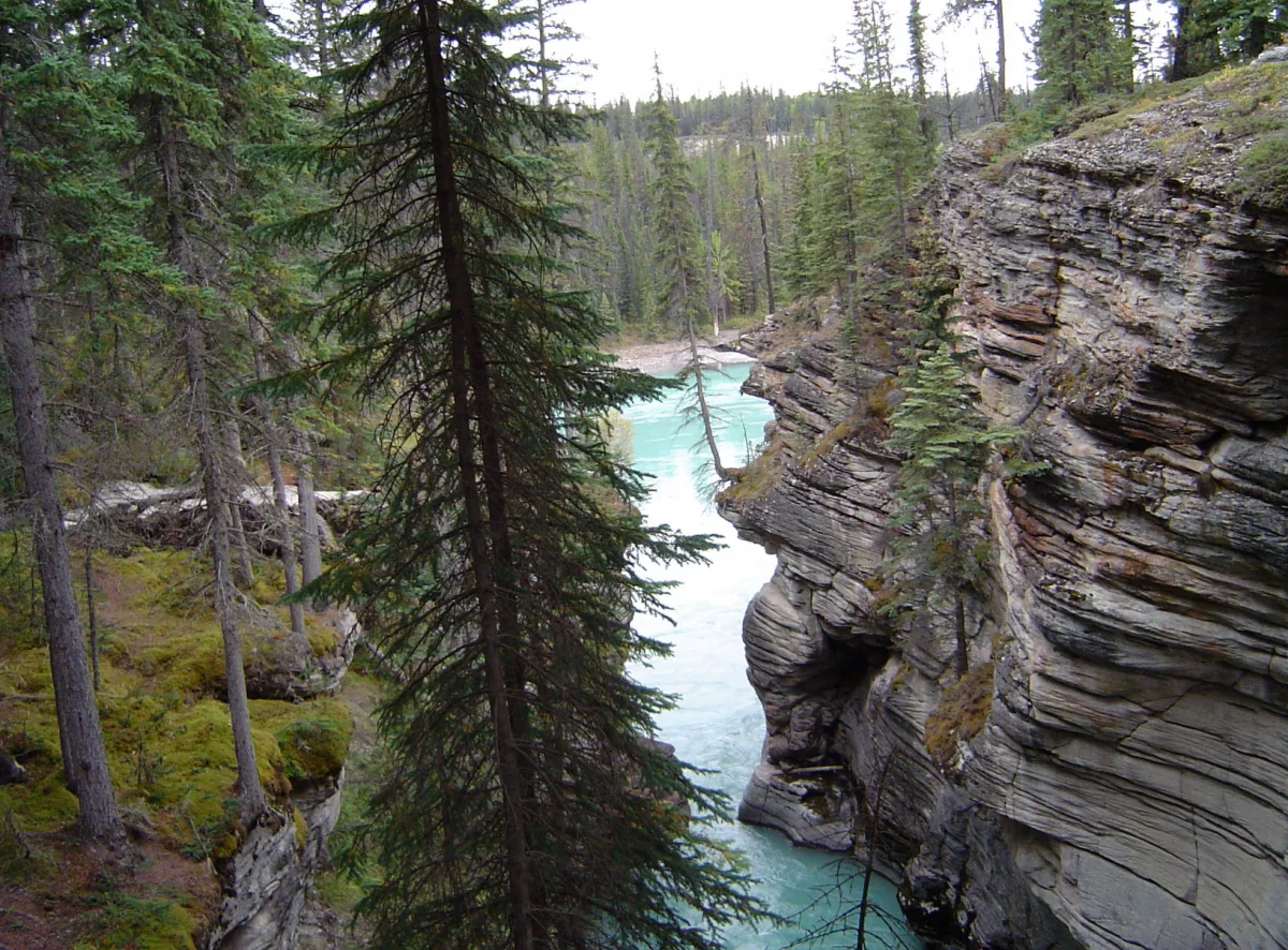 Athabasca Falls im Jasper Nationalpark