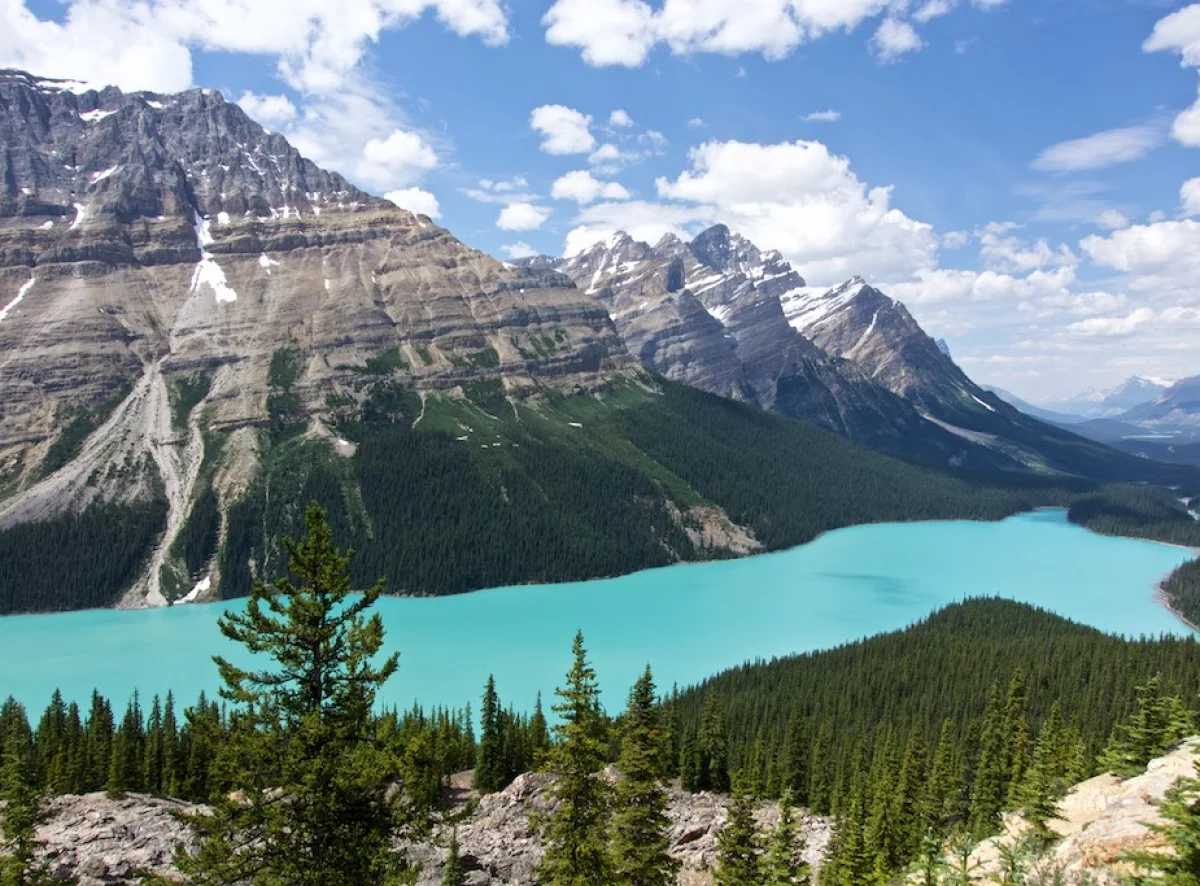 Peyto Lake Banff