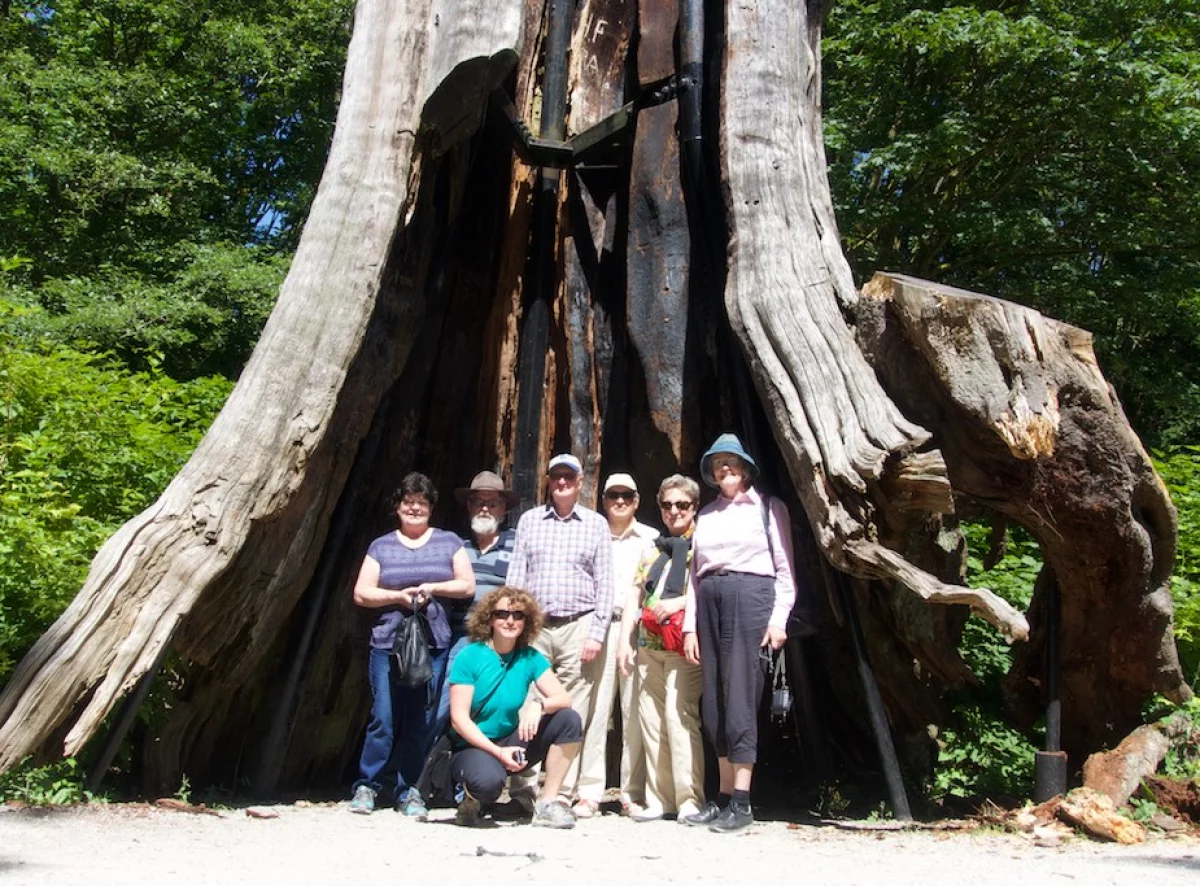 Reisegruppe unter altem Baumstumpf