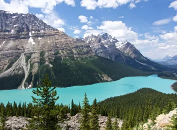 Peyto Lake Banff
