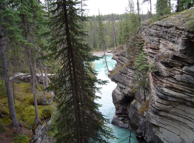 Athabasca Falls im Jasper Nationalpark