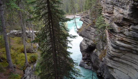 Athabasca Falls im Jasper Nationalpark