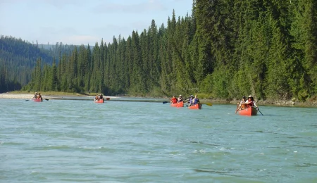 Kanutour auf dem Athabasca River