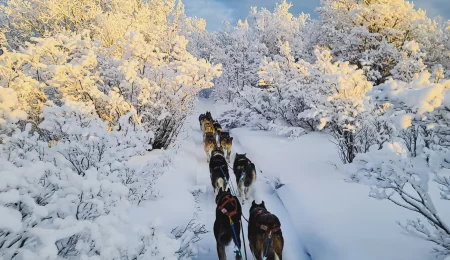 Verschneite Yukon Wildnis