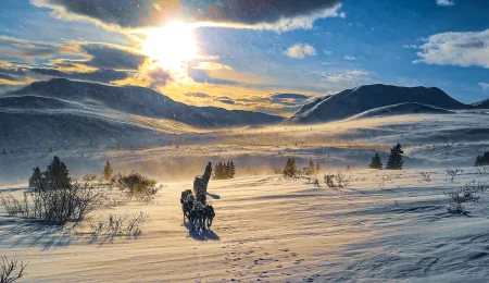 Mit den Huskies in der unglaublichen Yukon Wildnis