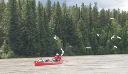 Kanu auf dem Athabasca River