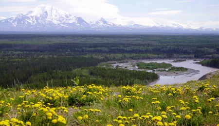 Flüsse Berge und Wälder - Alaska