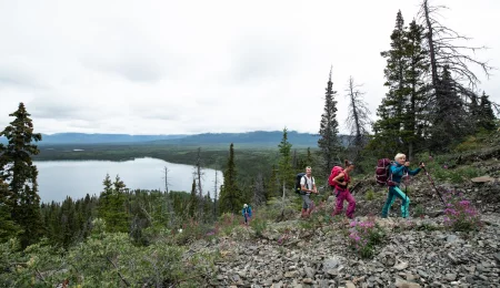 Yukon Reisen Tourgruppe auf Wanderung im Kluane Nationalpark