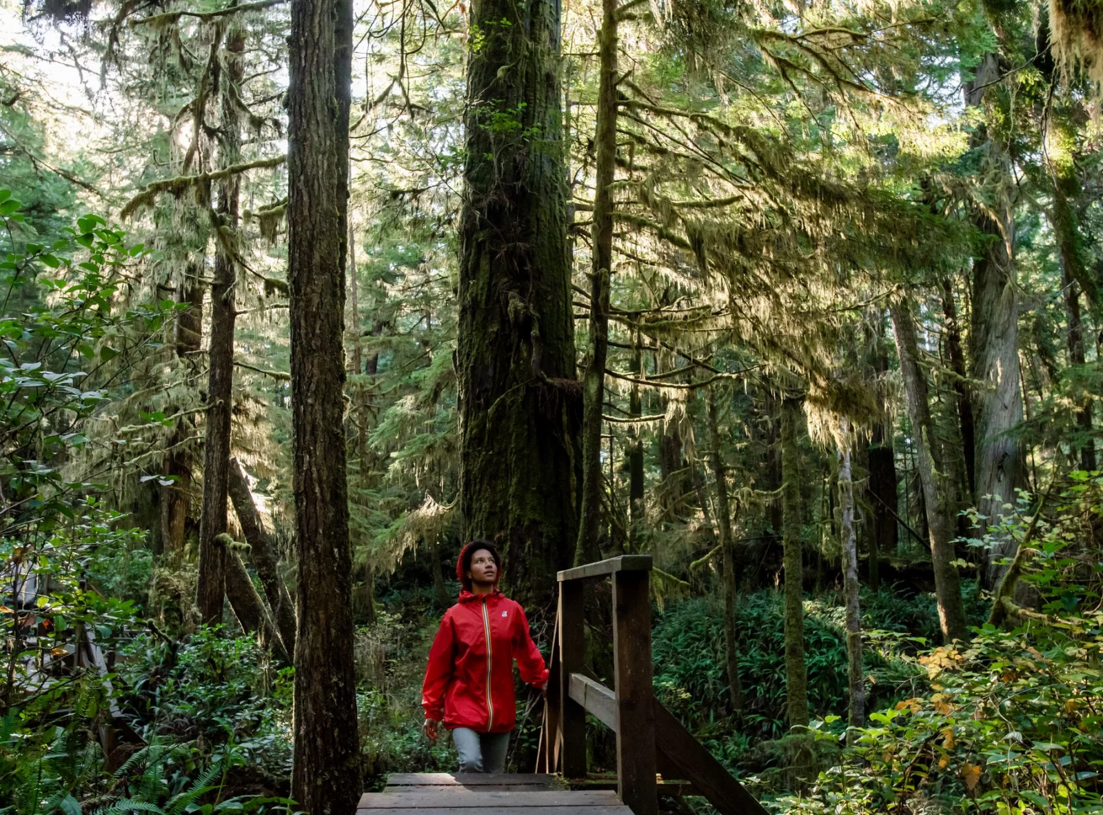 Vancouver Island - Nordischer Regenwald