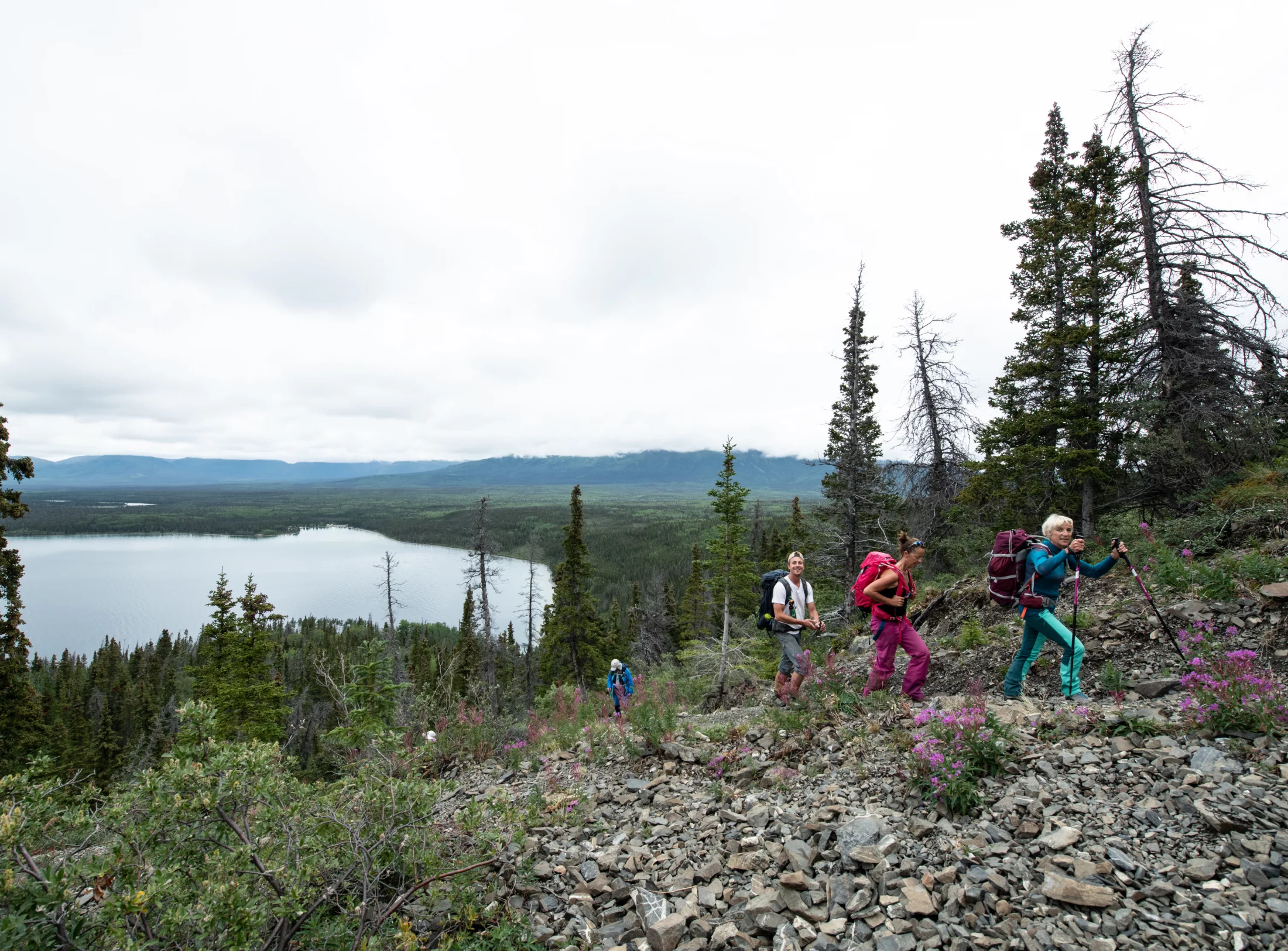Yukon Reisen Tourgruppe auf Wanderung im Kluane Nationalpark