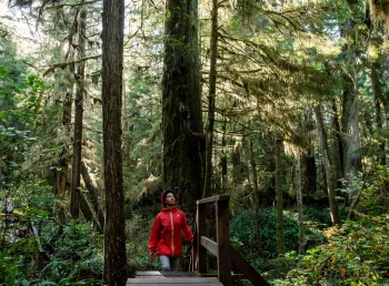 Vancouver Island - Nordischer Regenwald