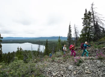Yukon Reisen Tourgruppe auf Wanderung im Kluane Nationalpark