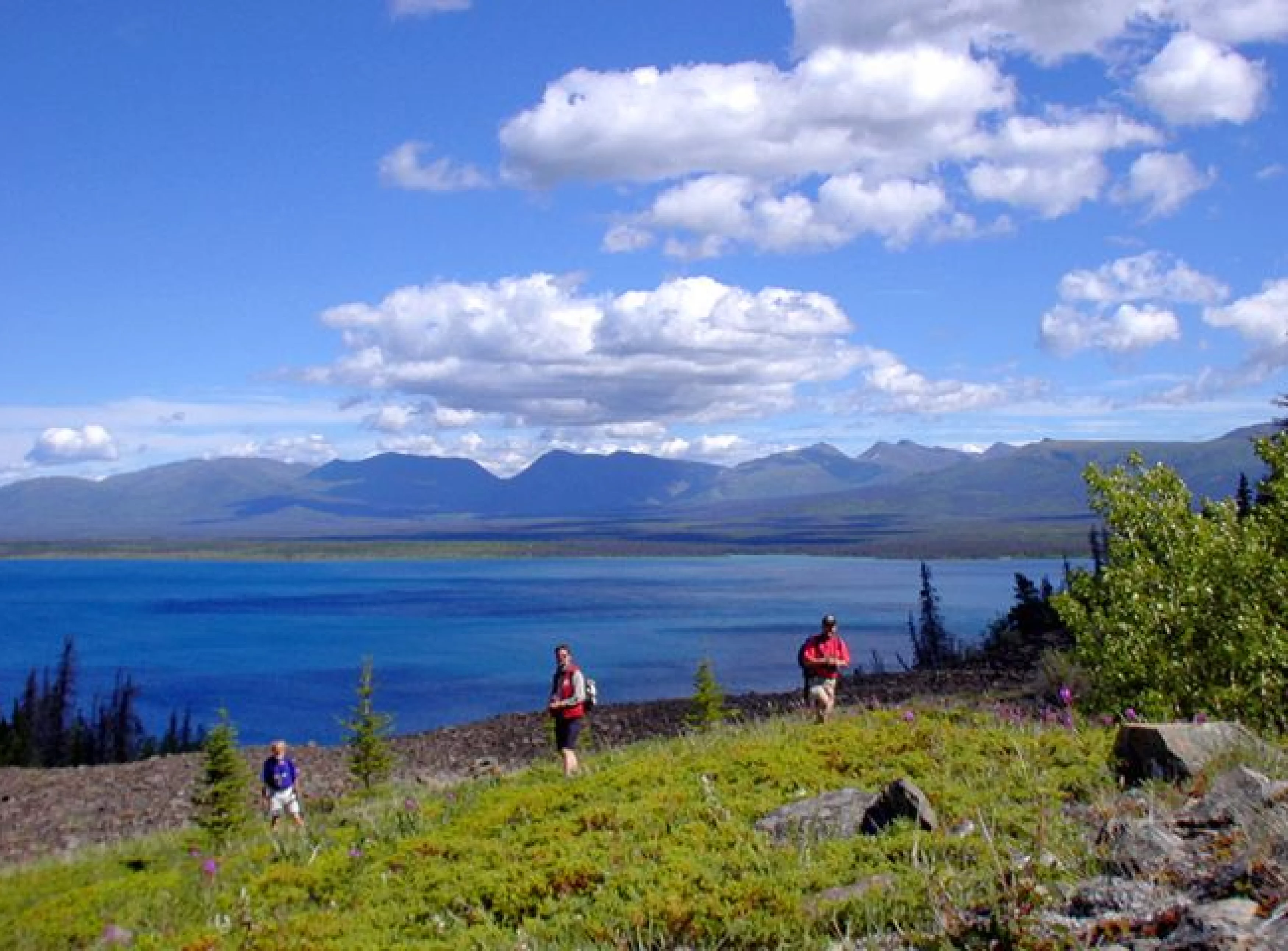 Wanderreise in Alaska und Yukon