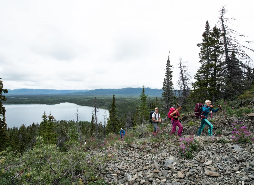 Yukon Reisen Tourgruppe auf Wanderung im Kluane Nationalpark